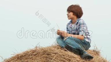 年轻的牛仔穿着<strong>牛仔裤</strong>和格子衬衫坐在乡间田野的干草堆上。 大海捞针上的小<strong>帅哥</strong>